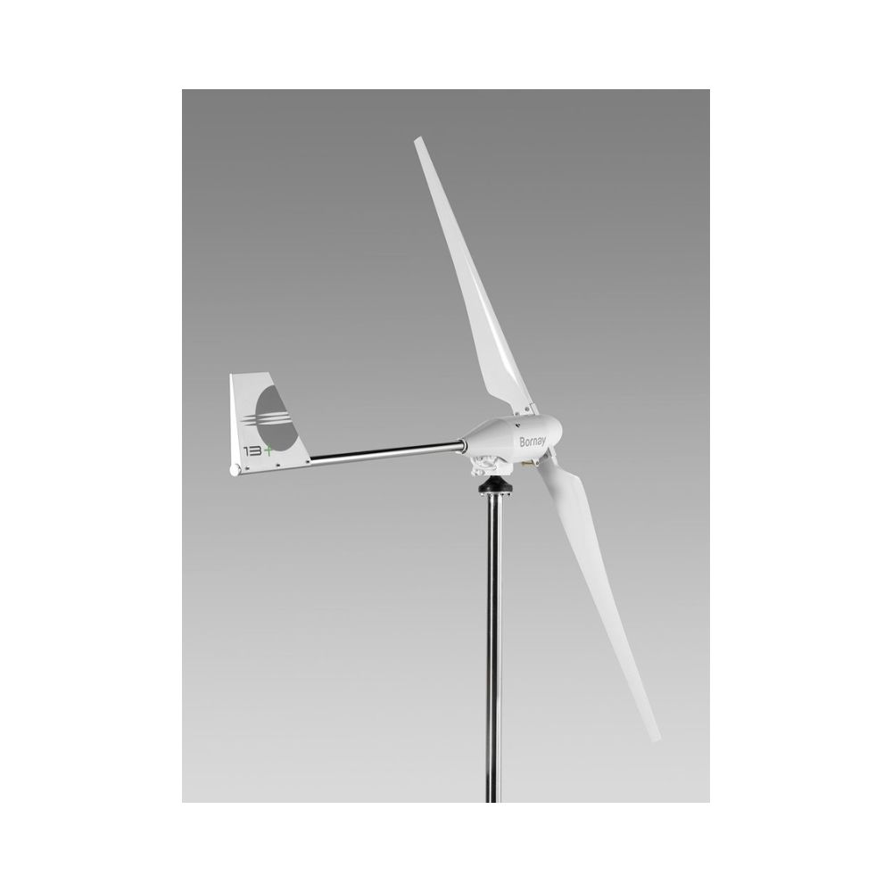 Instalatie eoliana Bornay