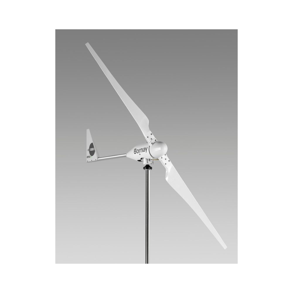 Instalatie eoliana Bornay